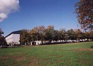 R&uuml;ckbau Hamburger Stra&szlig;e - Oktober 2009