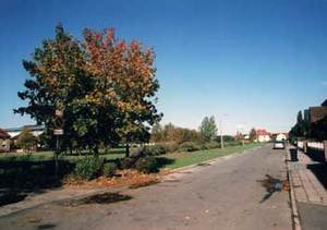 R&uuml;ckbau Wismarer Stra&szlig;e - Oktober 2009
