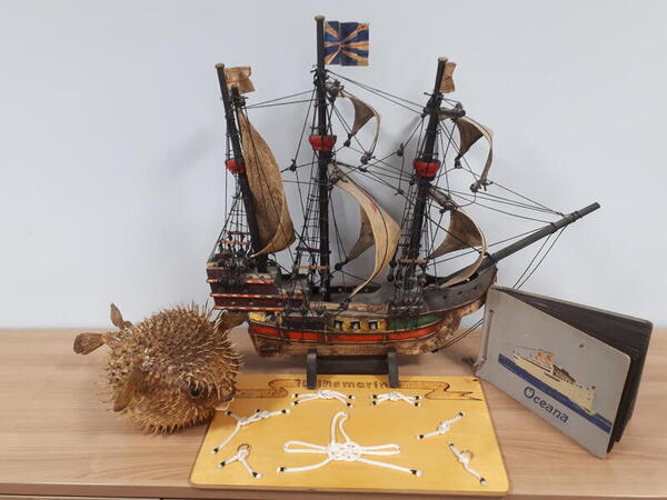 Kugelfisch, Modell der Galeone Mayflower und ein Schaubild mit Seemannsknoten
